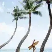 happybeachの画像