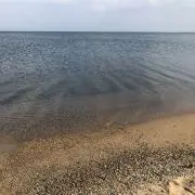 まやの画像