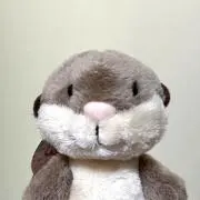 まるこ