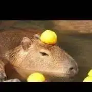 リエモ❇︎プロフ確認下さいの画像