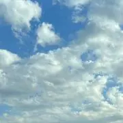 琥珀の画像