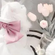 ちむ