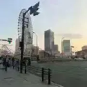 Pieの画像