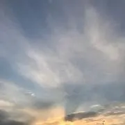 らんらん