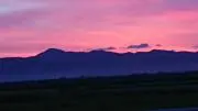 マキマキの画像