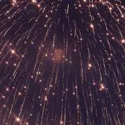 Ⓜ︎ 【プロフ確認お願いします】の画像