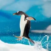 ぢゅ
