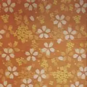 ねまの画像