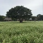 友蔵の画像