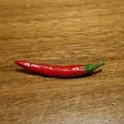 たきもんの画像