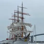 ponkoの画像