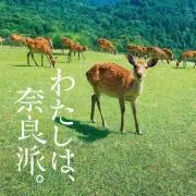 DEERの画像