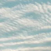 ふの画像
