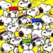 せなしょう