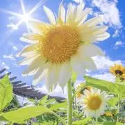 りり⭐️お値下げ可能