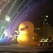 ちゃちゃの画像