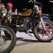 junk paradise