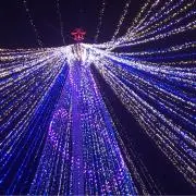 ㌧【プロフ必読】の画像
