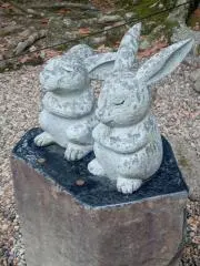 Y.S.の画像