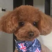 ミント☆