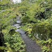 Uptoの画像