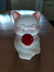 まねきねこ✩（7月25、26日発送不可)の画像