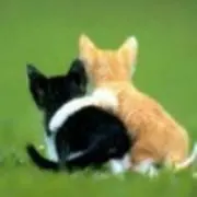 BUDDYの画像