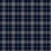 ⚆⚆の画像