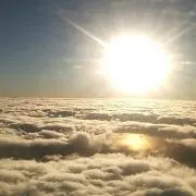 どさんこの画像