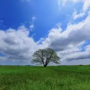 スマイル（プロフ必ず見て下さい）の画像