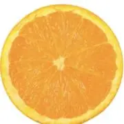 窓から
