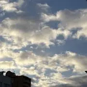 たけの画像