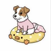 ふらの画像
