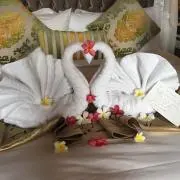 マイチゴ♡の画像