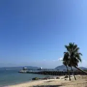 ももこの画像