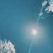 はねの画像
