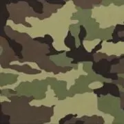 kantaの画像