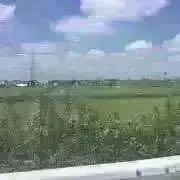カイ　(まとめてご購入で値引きします)の画像