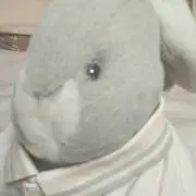 スコットの画像