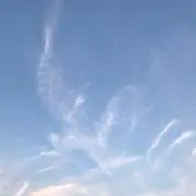 ゆずの画像