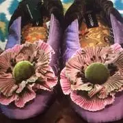magnoliaの画像