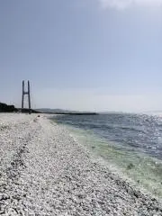 かわうその画像