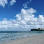 o.の画像