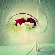 もりあさの画像