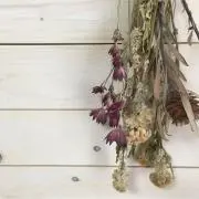bubuの画像