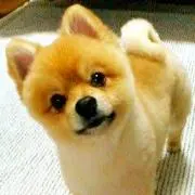 南アルプスの天然水♪の画像
