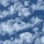 ちゃもろの画像