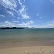 あーるちゃんの画像
