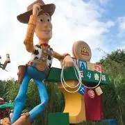 なでしこの画像