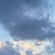 Hの画像